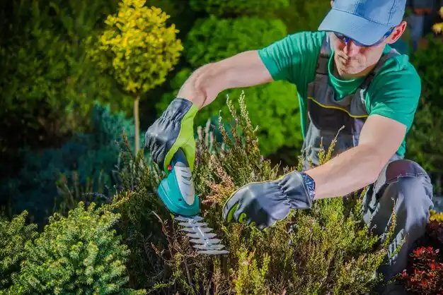 landscaping services West Jefferson